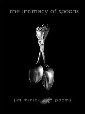cover image of The Intimacy of Spoons